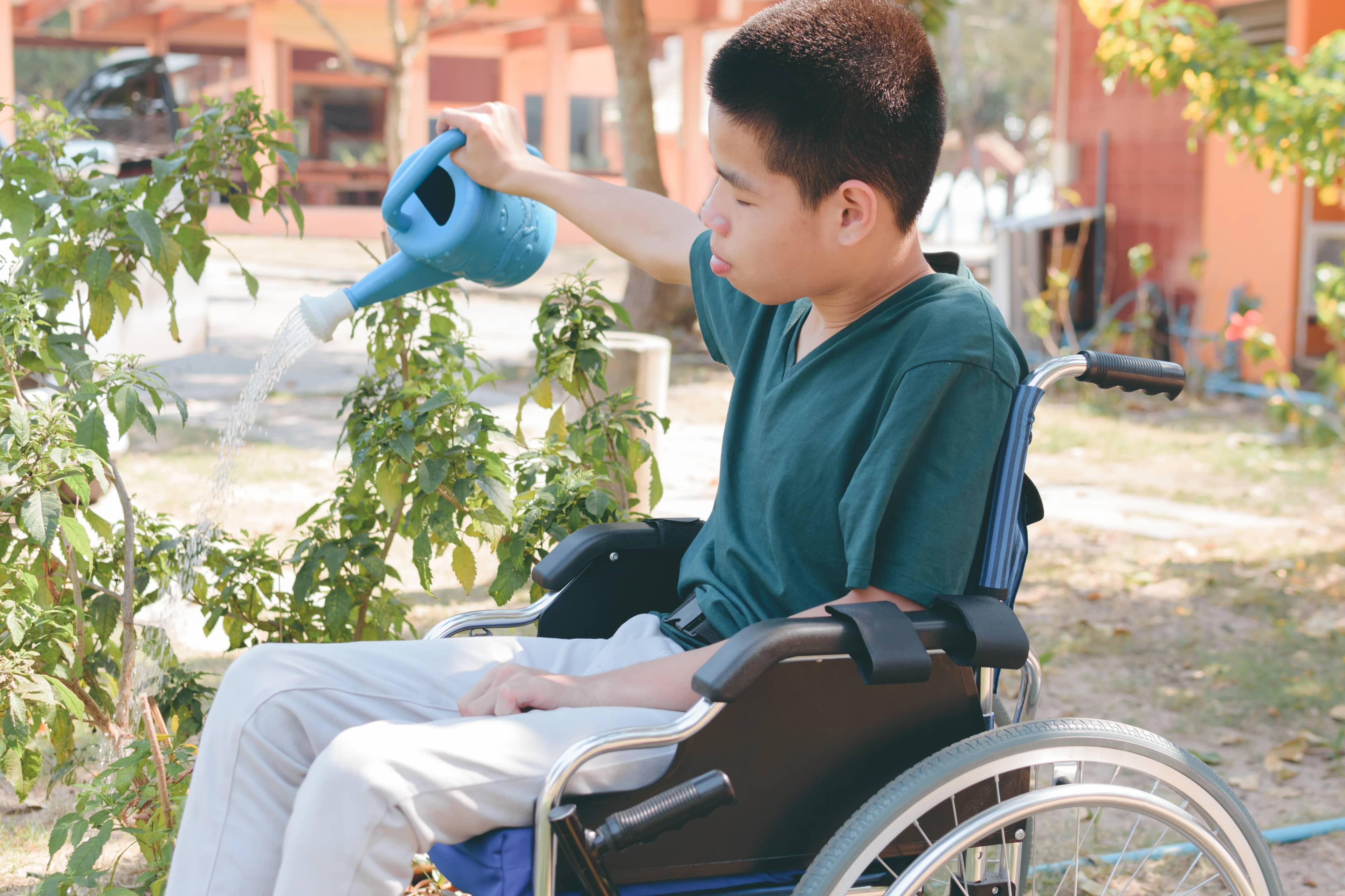 Development-Life Skills
